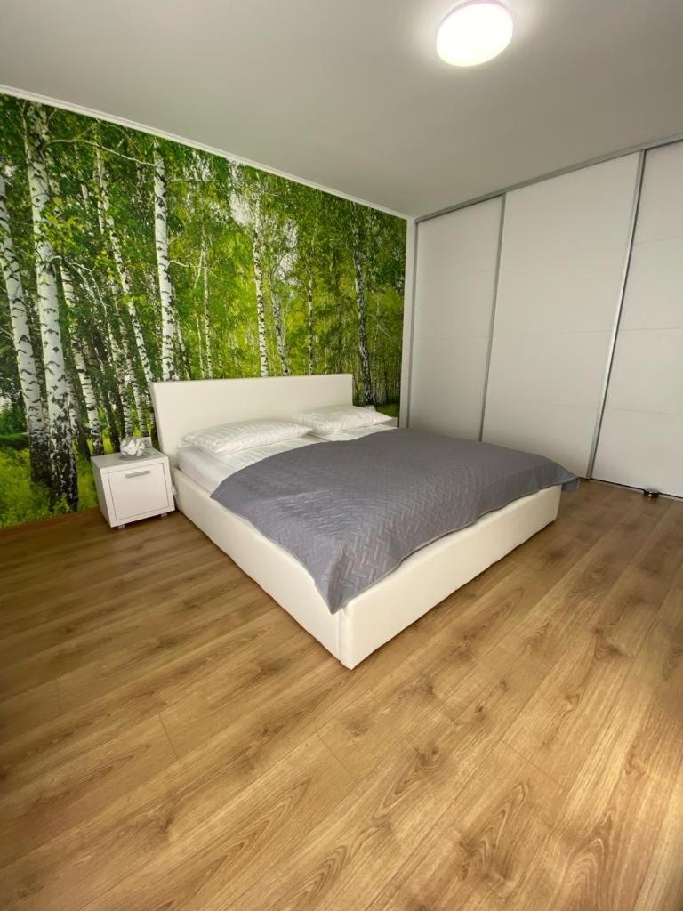 Apartament Nala Mediaş Extérieur photo