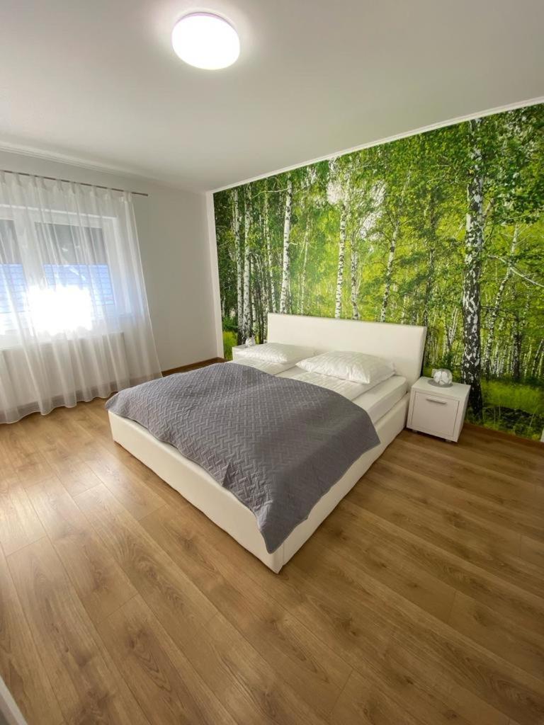 Apartament Nala Mediaş Extérieur photo